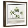 Plant Life III-Julia Purinton-Framed Art Print