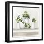 Plant Life III-Julia Purinton-Framed Art Print