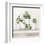 Plant Life III-Julia Purinton-Framed Art Print