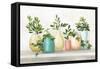 Plant Life IV Colorful-Julia Purinton-Framed Stretched Canvas