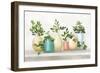 Plant Life IV Colorful-Julia Purinton-Framed Art Print