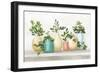 Plant Life IV Colorful-Julia Purinton-Framed Art Print