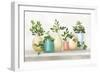 Plant Life IV Colorful-Julia Purinton-Framed Art Print