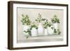 Plant Life IV-Julia Purinton-Framed Premium Giclee Print