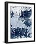 Plant Life IV-Annie Warren-Framed Art Print