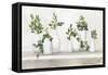 Plant Life-Julia Purinton-Framed Stretched Canvas