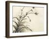 Plant of the Age II-Samuel Dixon-Framed Art Print