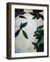 Plant Pattern II-Kari Taylor-Framed Giclee Print