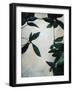 Plant Pattern II-Kari Taylor-Framed Giclee Print