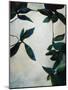 Plant Pattern II-Kari Taylor-Mounted Giclee Print