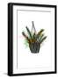 Plant Pop II-Rebekah Ewer-Framed Art Print