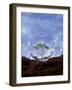 Plant Protection: Young Plant Under Glass Dome-Roland Krieg-Framed Photographic Print