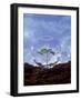 Plant Protection: Young Plant Under Glass Dome-Roland Krieg-Framed Photographic Print