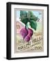 Plant Seeds II-Diannart-Framed Art Print