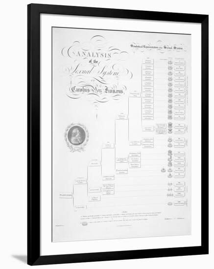 Plant Sex System by Linnaeus, 1807-null-Framed Photographic Print