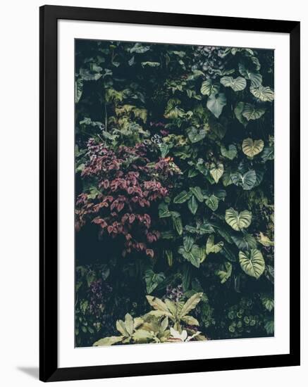 Plant Wall-Design Fabrikken-Framed Photographic Print