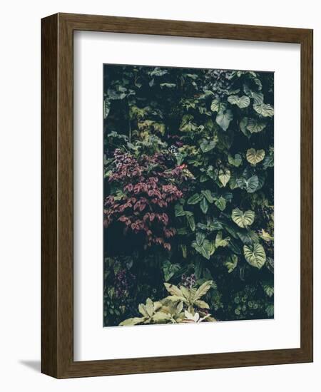 Plant Wall-Design Fabrikken-Framed Photographic Print