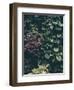 Plant Wall-Design Fabrikken-Framed Photographic Print