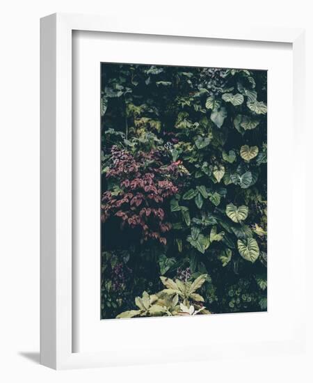 Plant Wall-Design Fabrikken-Framed Photographic Print