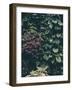 Plant Wall-Design Fabrikken-Framed Photographic Print