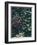 Plant Wall-Design Fabrikken-Framed Photographic Print