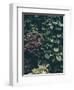 Plant Wall-Design Fabrikken-Framed Photographic Print