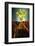 Plant with Roots Digging into Soil-David Aubrey-Framed Photographic Print