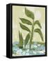 Plant-Anne Cote-Framed Stretched Canvas