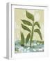 Plant-Anne Cote-Framed Giclee Print