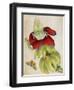 Plant-Maria Sibylla Merian-Framed Art Print