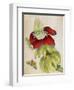 Plant-Maria Sibylla Merian-Framed Art Print