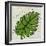 Planta Green I-Andrea Davis-Framed Art Print