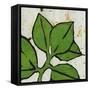 Planta Green III-Andrea Davis-Framed Stretched Canvas
