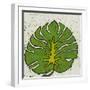 Planta Green IV-Andrea Davis-Framed Art Print