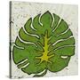 Planta Green IV-Andrea Davis-Stretched Canvas