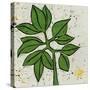 Planta Green IX-Andrea Davis-Stretched Canvas