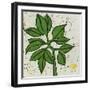 Planta Green IX-Andrea Davis-Framed Art Print