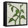 Planta Green V-Andrea Davis-Framed Stretched Canvas