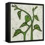 Planta Green V-Andrea Davis-Framed Stretched Canvas