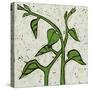 Planta Green V-Andrea Davis-Stretched Canvas