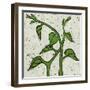 Planta Green V-Andrea Davis-Framed Art Print