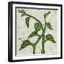 Planta Green V-Andrea Davis-Framed Art Print
