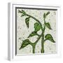 Planta Green V-Andrea Davis-Framed Art Print