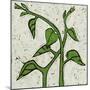 Planta Green V-Andrea Davis-Mounted Art Print