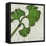 Planta Green VI-Andrea Davis-Framed Stretched Canvas