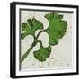 Planta Green VI-Andrea Davis-Framed Art Print