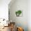 Planta Green VII-Andrea Davis-Art Print displayed on a wall