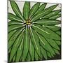 Planta Green VIII-Andrea Davis-Mounted Art Print