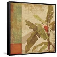 Planta-Andrew Michaels-Framed Stretched Canvas