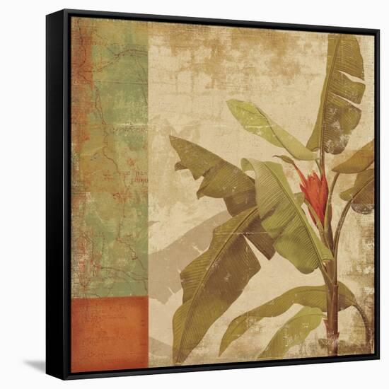 Planta-Andrew Michaels-Framed Stretched Canvas